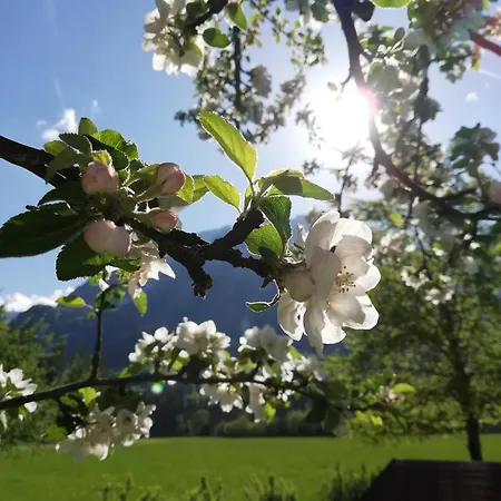 Apartmán Prentnergut *