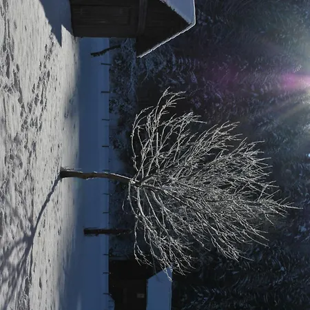 Prentnergut Apartman *