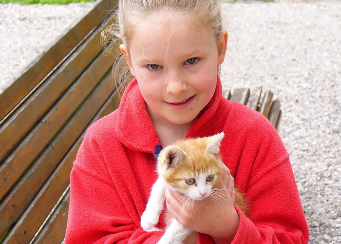 Prentnergut Apartman Hinterstoder