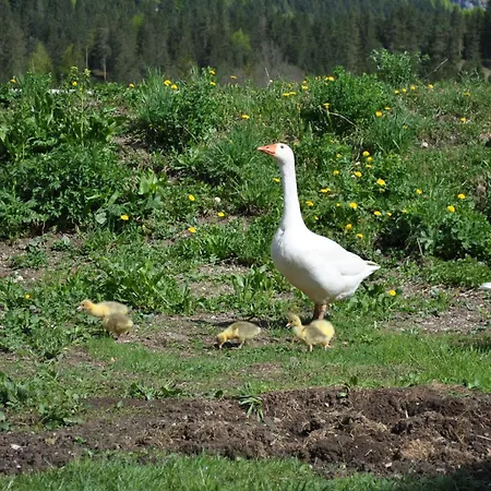 帕仁纳格特酒店