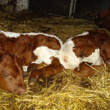 帕仁纳格特酒店 *