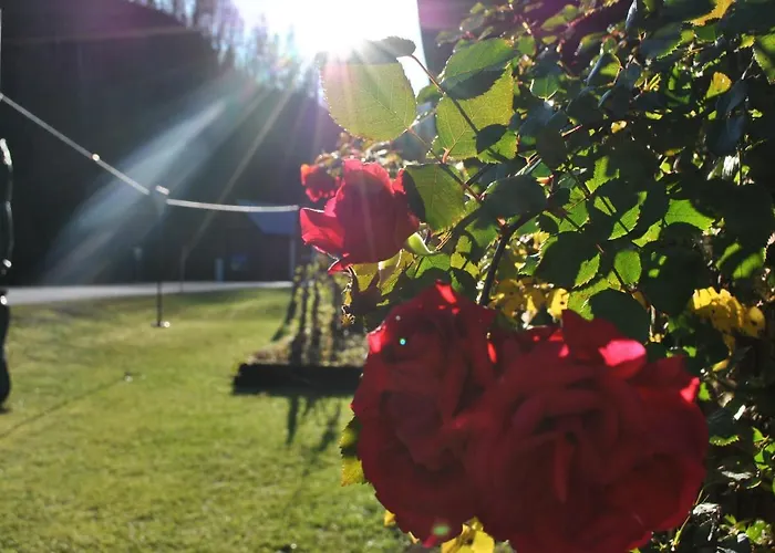 公寓 帕仁纳格特酒店 茵特斯托德