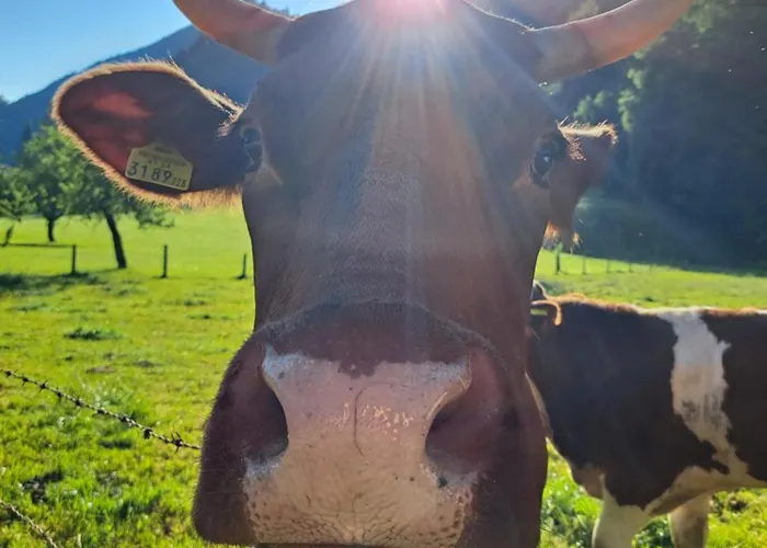 帕仁纳格特酒店 茵特斯托德