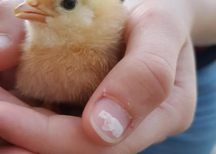 公寓 帕仁纳格特酒店 茵特斯托德