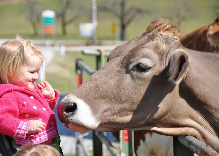 帕仁纳格特酒店