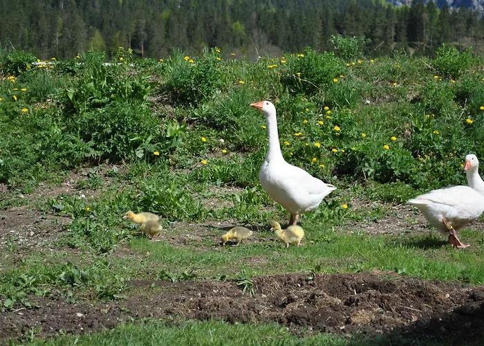 帕仁纳格特酒店