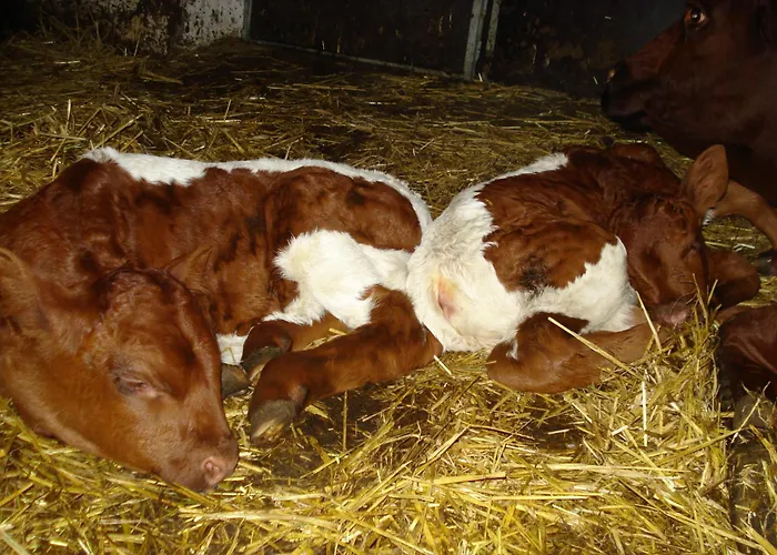 帕仁纳格特酒店 *